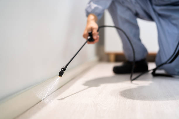 Licensed Mosquito Control service in Jessup, MD - Show Me Pest Control